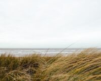 Тульские службы из-за непогоды переведены в режим повышенной готовности