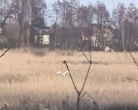 fi248ebhem808163512015