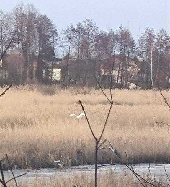 fi248ebhem808163512015