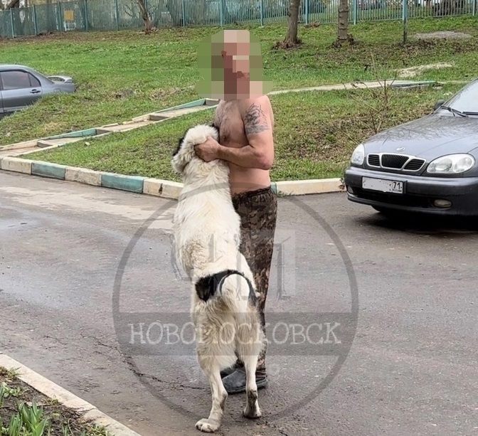 В Тульской области возбудят дело после нападения алабая на две семьи