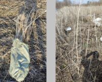 У пойманного с 88 кило травки тамбовчанина нашли еще партию наркотиков