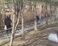 скриншот видео инцидента в г. Партизанске