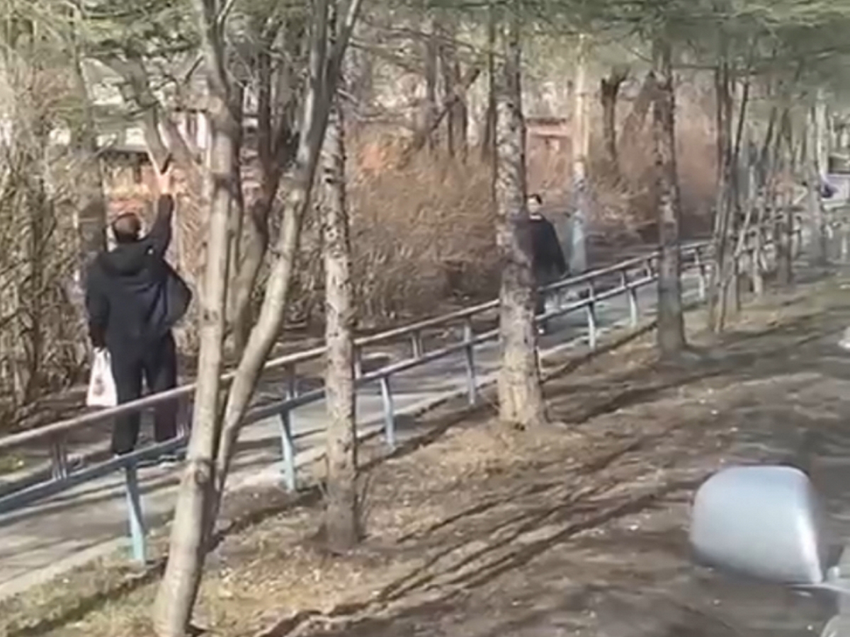 скриншот видео инцидента в г. Партизанске