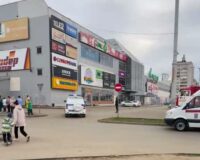 авокадо еще