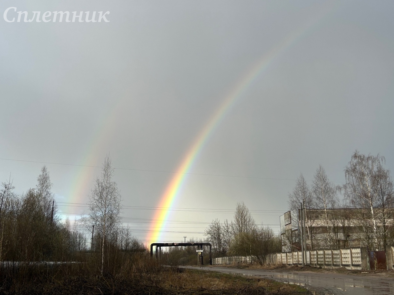 «радуга