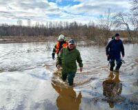 губернатор в болоте
