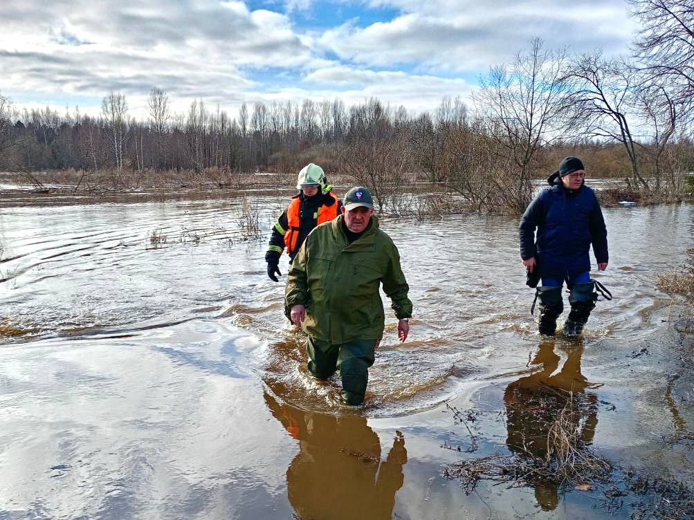 губернатор в болоте