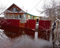 затопило дома