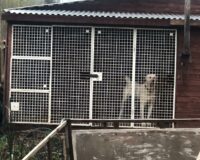 алаюай вольер