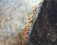 трава сгорела