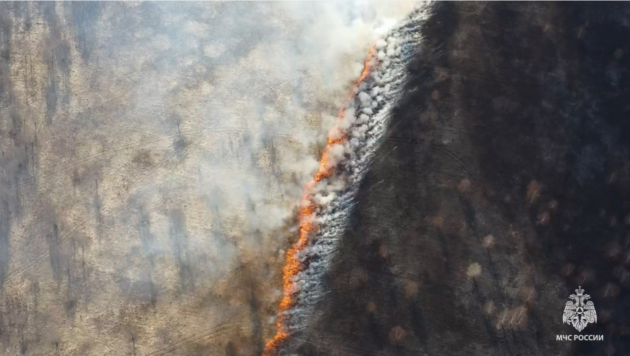 трава сгорела