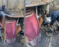 В Тульской области нашли семью из Ярославля, год скрывавшуюся в лесу