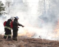 Ландшафтный пожар