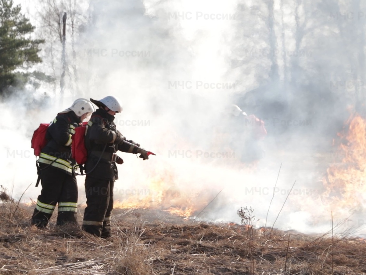 Ландшафтный пожар