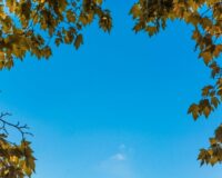 пропал и погиб