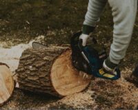Нелегальный лесоруб