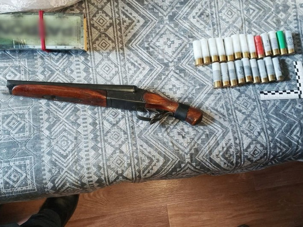 Обрез и патроны