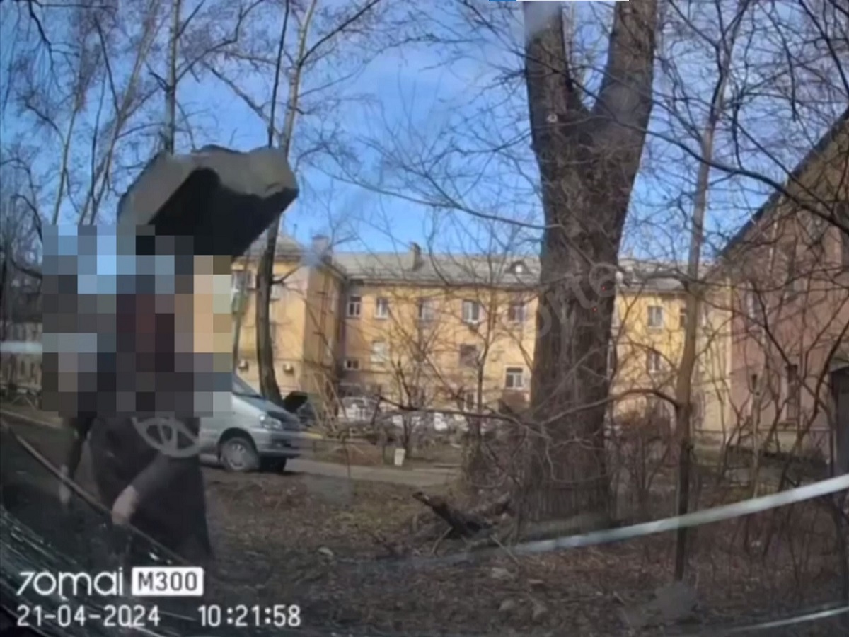 Пенсионерка в Хабаровске из-за собак закидала машину с матерью и малышом камнями