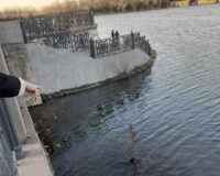 магнитогорец упал в реку Урал