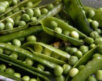 Гигантский урожай дважды за лето: главные хитрости выращивания гороха