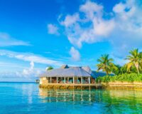 Гороскоп на 21 апреля: Лев и Скорпион победят, если совместят решительность и осторожность