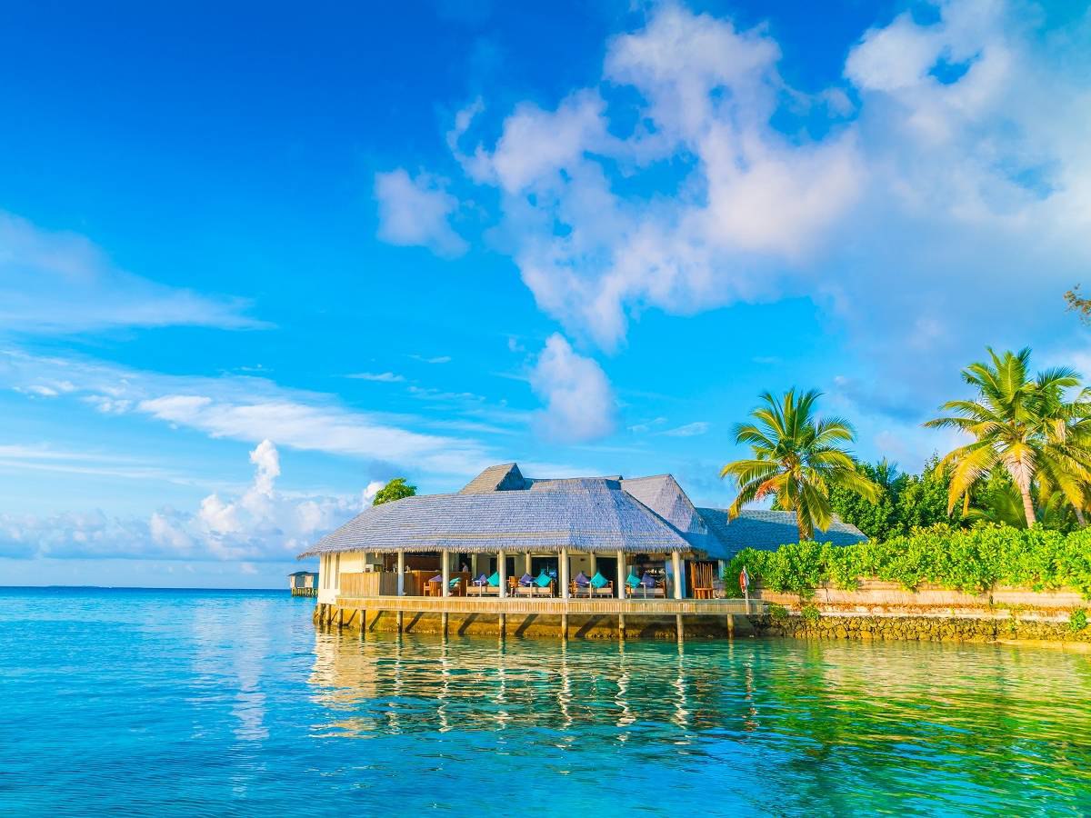 Гороскоп на 21 апреля: Лев и Скорпион победят, если совместят решительность и осторожность