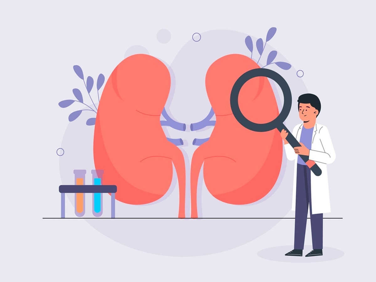 Камни в почках больше не побеспокоят: избавляемся от недуга хитрым способом, совет врача