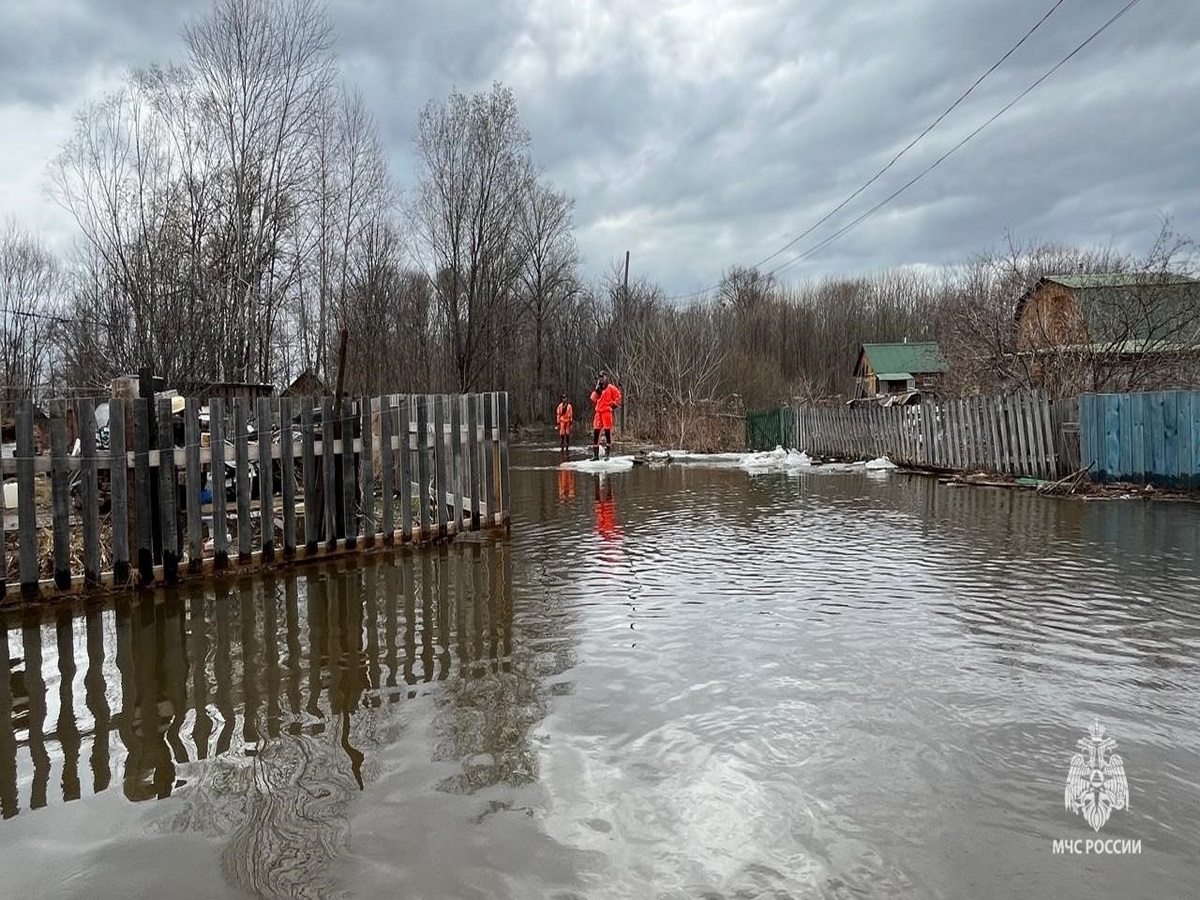 подтопления 18 апреля 2024 г. в районе им. Лазо Хабаровского края