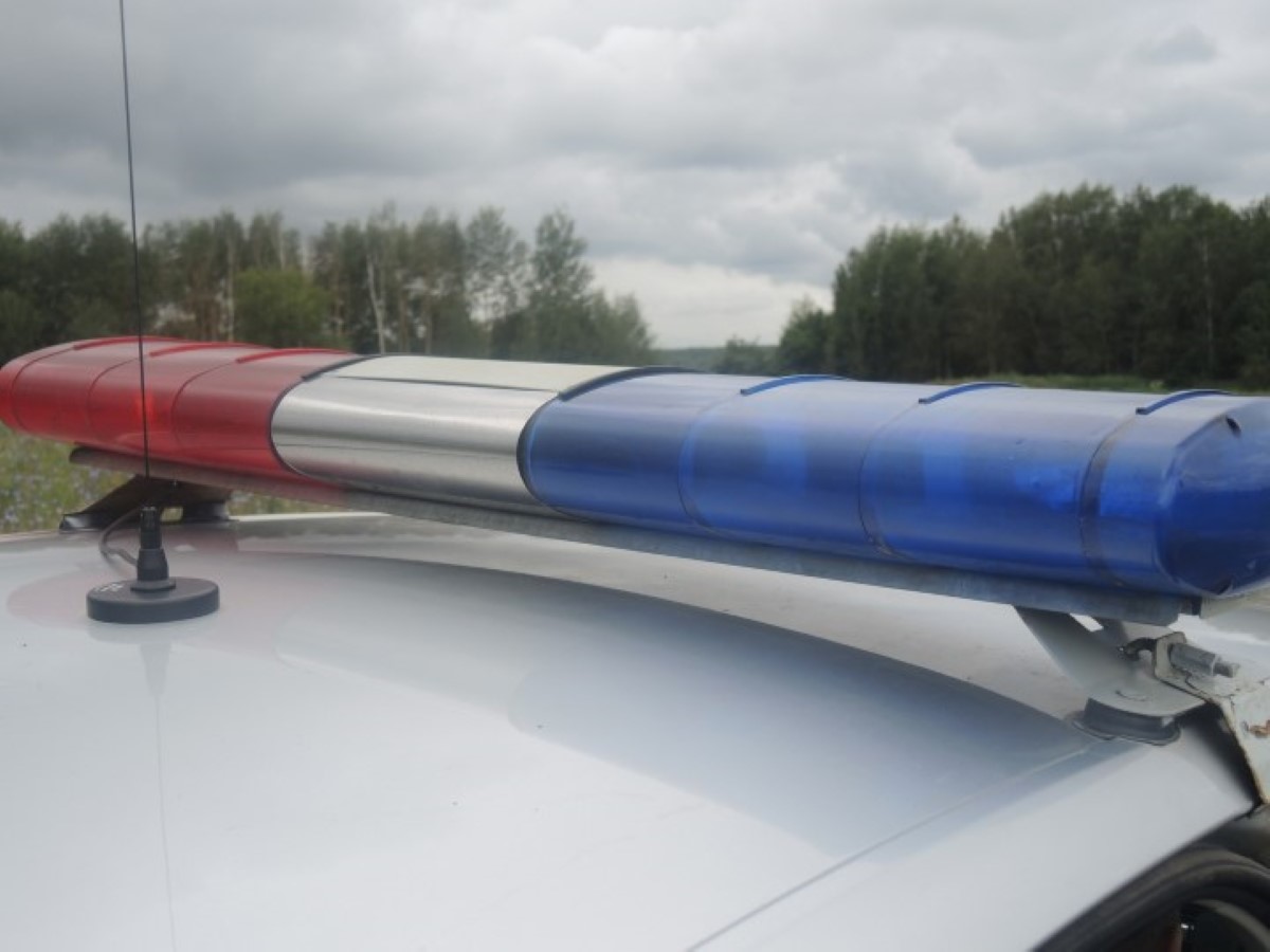 полицейская