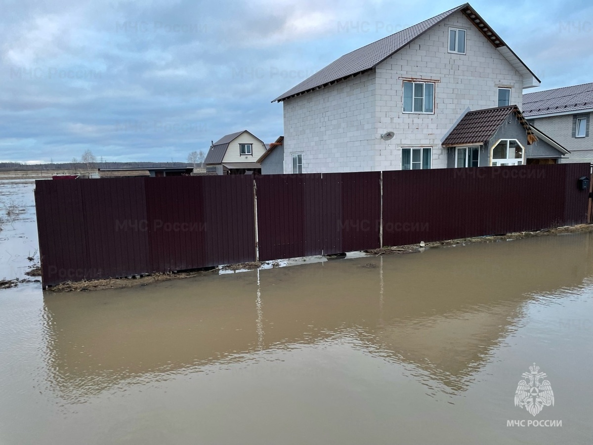 Половодье во Владимирской области
