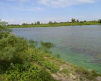 Под Тамбовом охранник после смены решил покататься на лодке и утонул