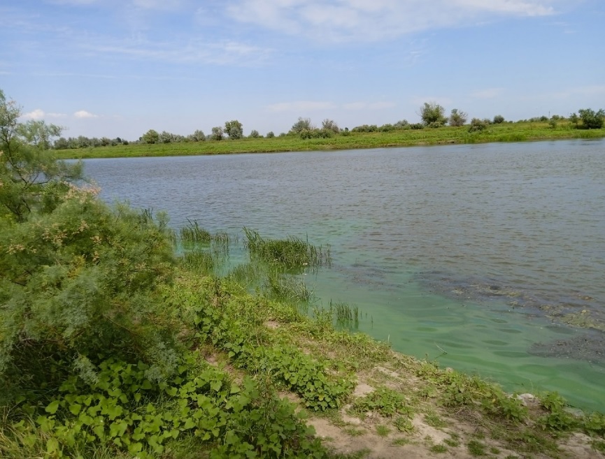 Под Тамбовом охранник после смены решил покататься на лодке и утонул