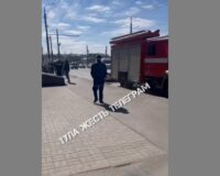 В Туле к эвакуированному ТЦ «РИО» приехали кинологи с собаками