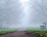 В Новомосковске Тульской области в детском парке нашли тела двух приятелей