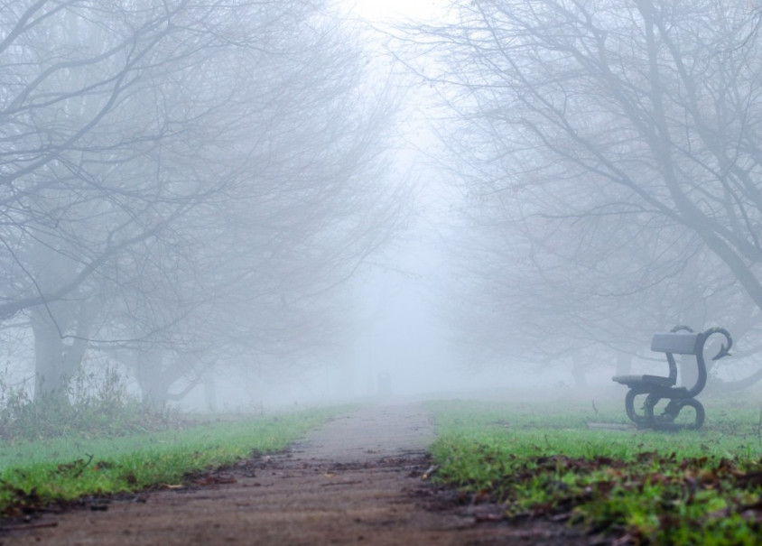 В Новомосковске Тульской области в детском парке нашли тела двух приятелей