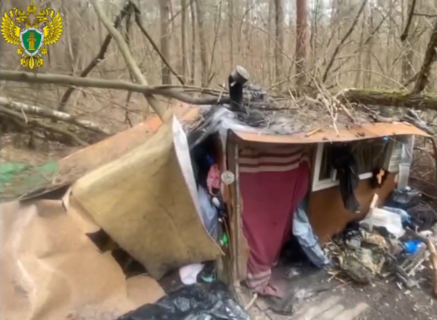 Опубликовано видео жизни из шалаша найденной семьи в тульском лесу