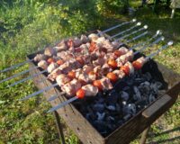 В Рязанской области встреча на пикнике с приятелем обернулась для парня ранением в живот