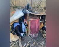 Сестренок, которых мать прятала в тульском лесу, заберет их бабушка