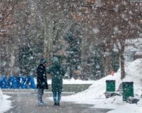 Одной метелью дело не закончится: погода в Петербурге преподнесёт жителям новый сюрприз