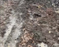 snimok-ekrana-2024-04-12-12030709081385037