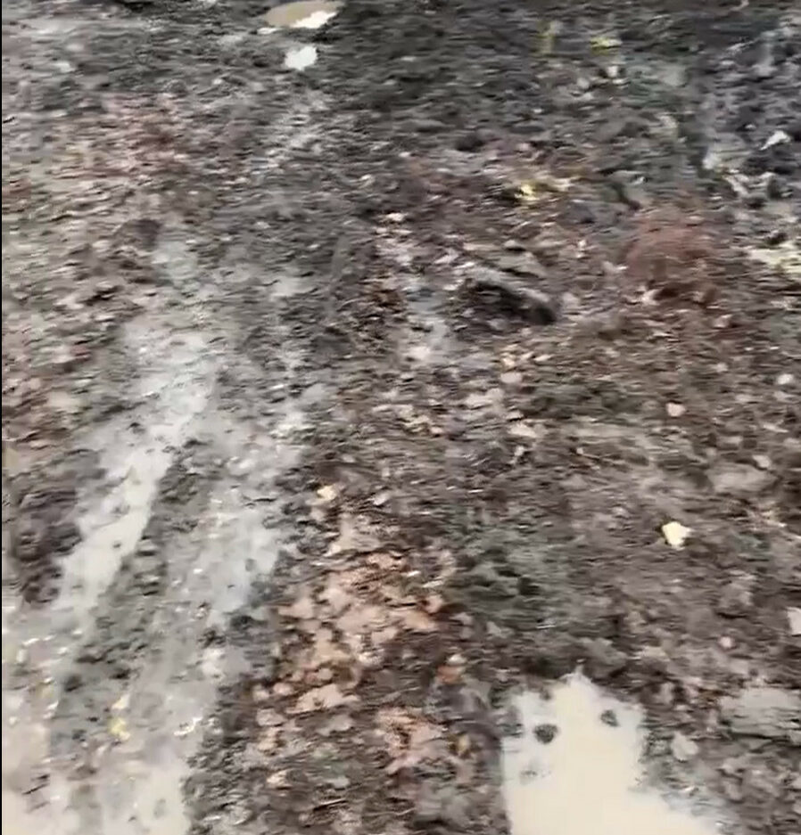 snimok-ekrana-2024-04-12-12030709081385037