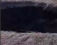 snimok-ekrana-2024-04-15-17090402134462079