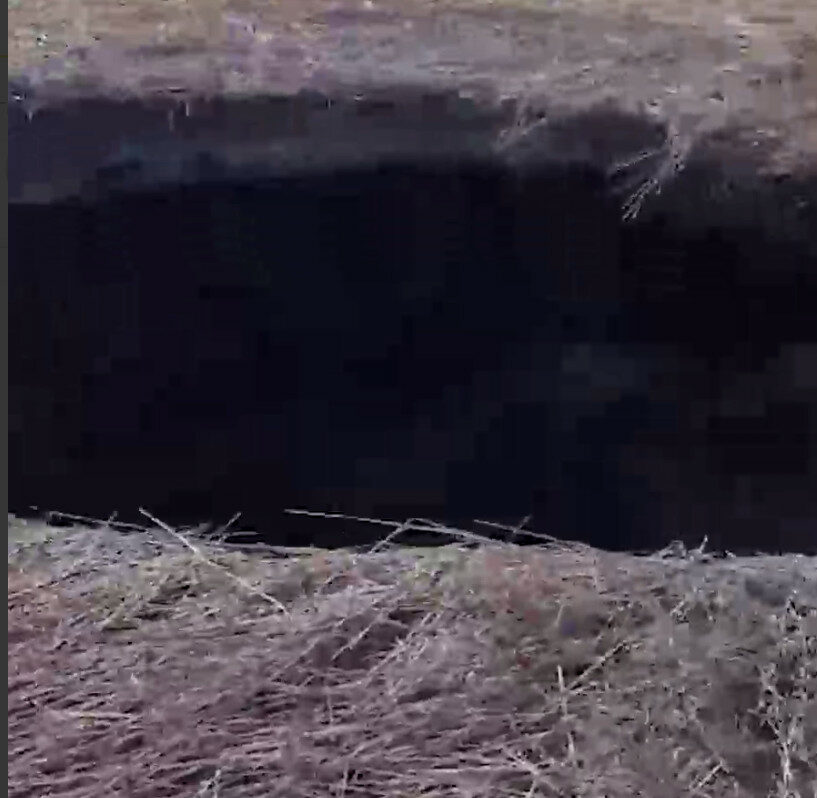 snimok-ekrana-2024-04-15-17090402134462079