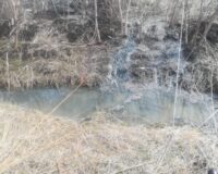 В Тамбове на место сброса стоков в реку Жигалка выехала комиссия