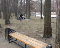 В Новомосковске Тульской области в детском парке нашли тела двух приятелей