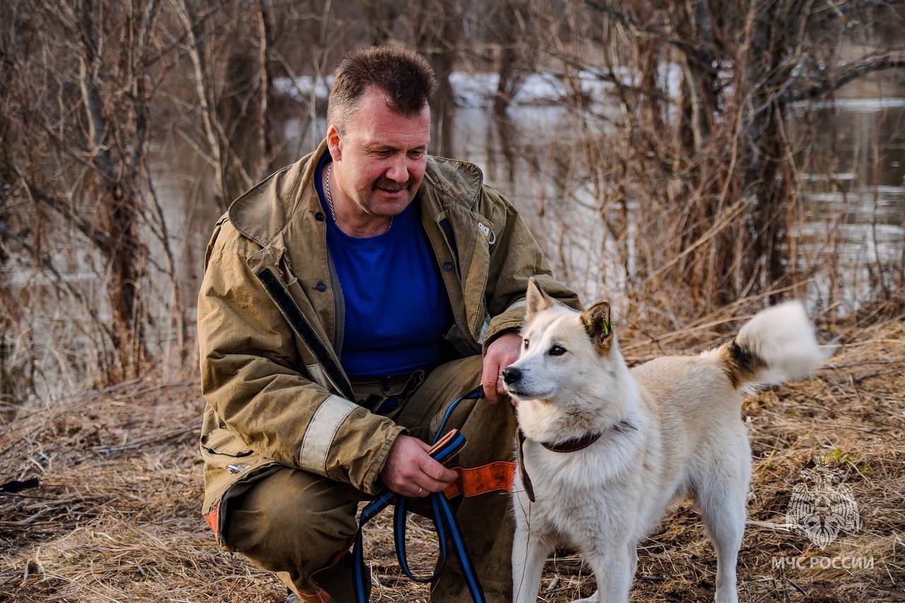 В Родниковском районе огнеборцы с сосисками спасли с затопленного островка пса