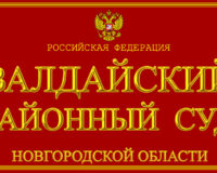 В Новгородской области женщина набросилась с топором на полицейских