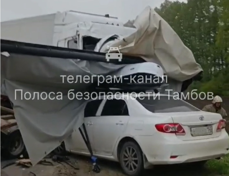 В Тамбовской области в жестком ДТП с «Газелью» и фурой погиб водитель
