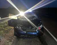 В Рязанской области в Скопинском районе иномарка сбила лося