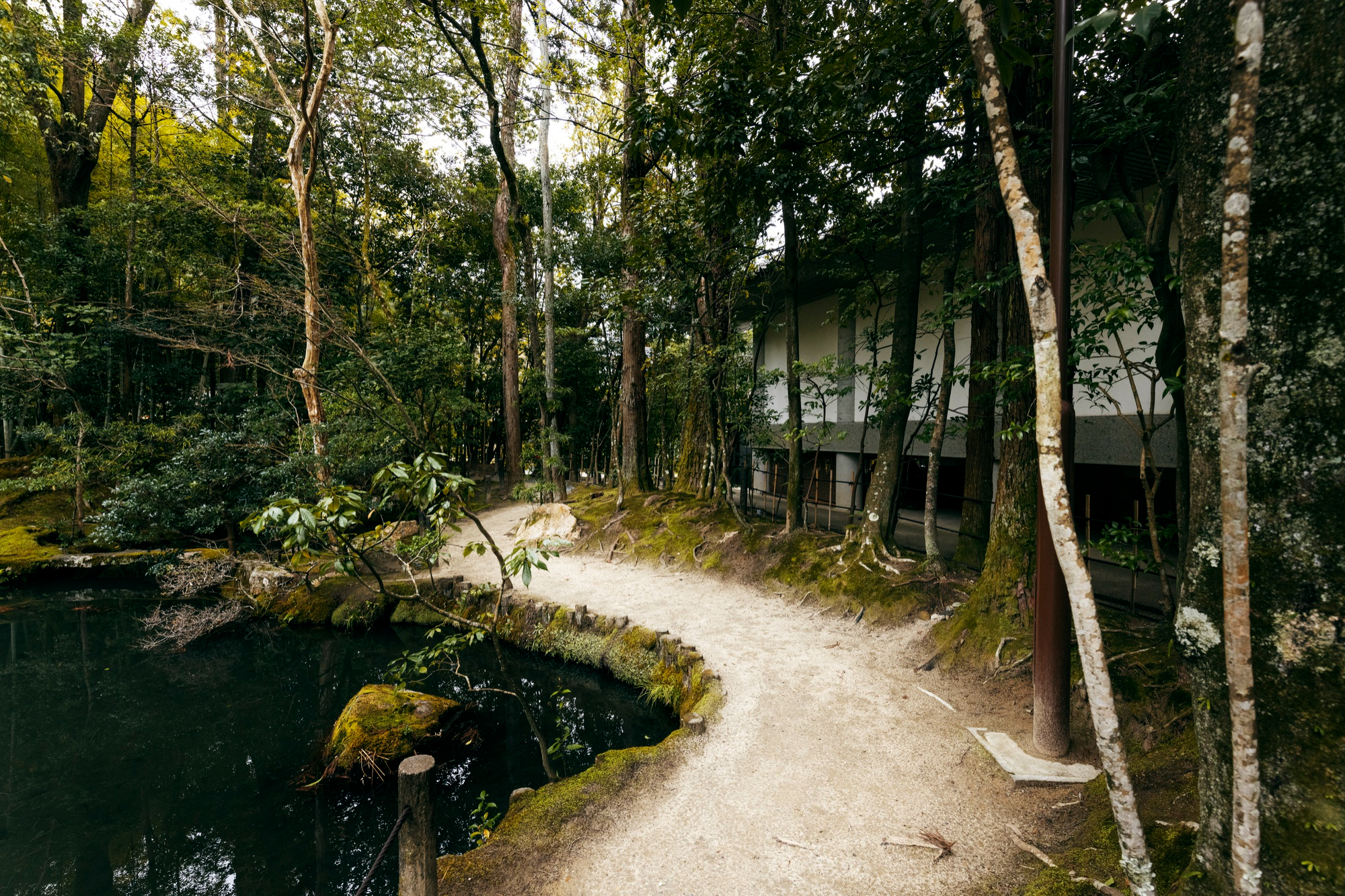 Смоленское ОСФР назвало санатории, в которых можно получить льготное курортное лечение